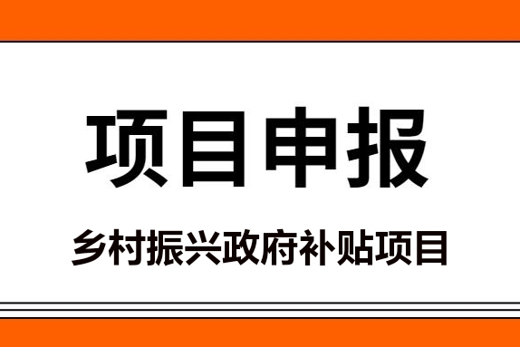 2021年29个乡村振兴政府补贴项目申报必备